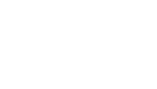 1 day Program