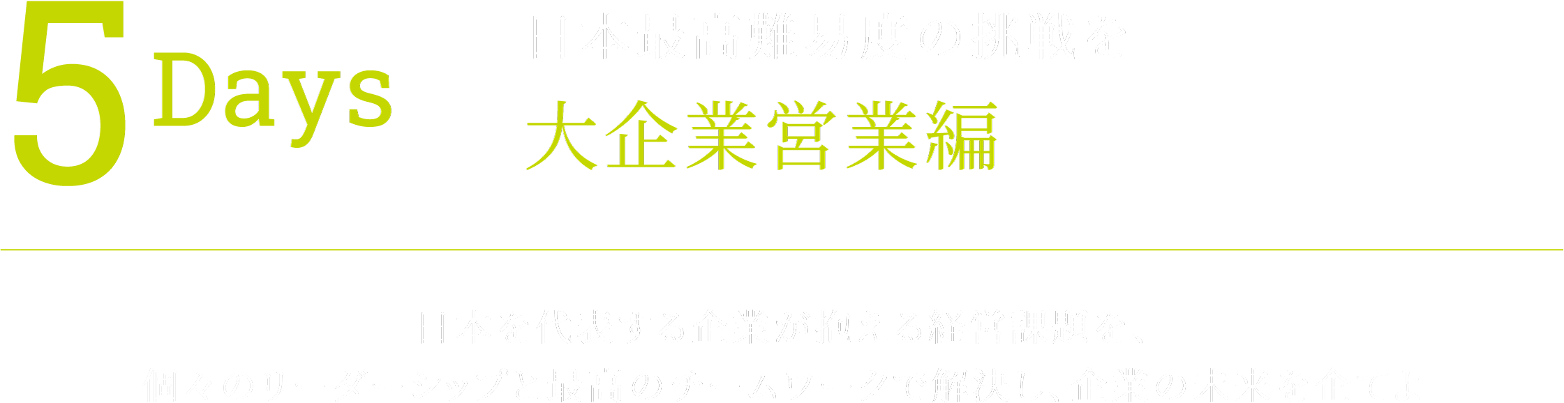 5Days 日本最高難易度の挑戦を 大企業営業編 大企業が抱える課題を、最高のチームで解決するリーダーシップをもとに、日本を代表する企業の未来を企てよ